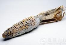 當(dāng)心你身邊的最強致癌物