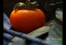 秋季如何養(yǎng)肺,4種水果不可少！