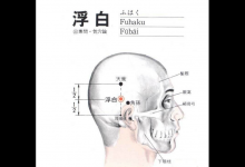 中醫主任：頭部藏著1個“黑發劑”，白發變黑只需按這個穴位