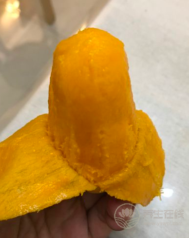 學(xué)生臺風(fēng)天里跑出來“拯救”芒果 臺風(fēng)也抵擋不了芒果美味的誘惑