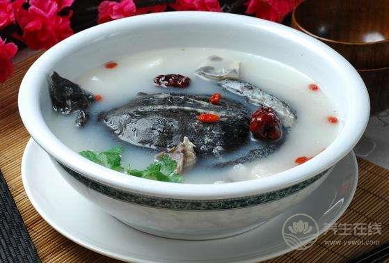 甲魚不能和什么一起吃,甲魚怎么吃最有營養