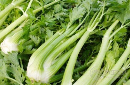 夏秋換季最容易生病,常吃4種食物幫你換季養生不得病 夏秋換季最容易生病,常吃4種食物幫你換季養生不得病