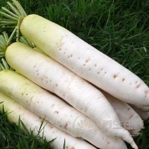 生活中有哪些食物有補血作用？補血食物推薦