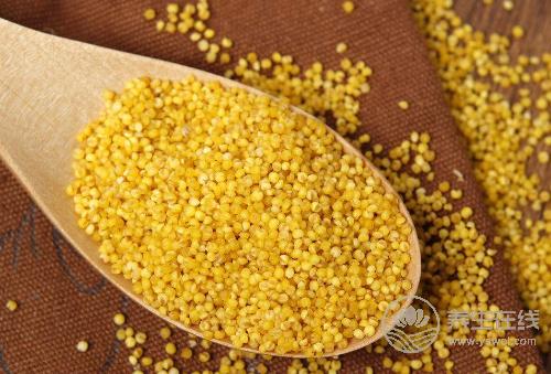 小米的5種好處，常吃小米好處多