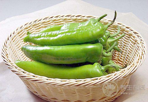 常吃青椒，對身體有這些好處，你知道嗎？