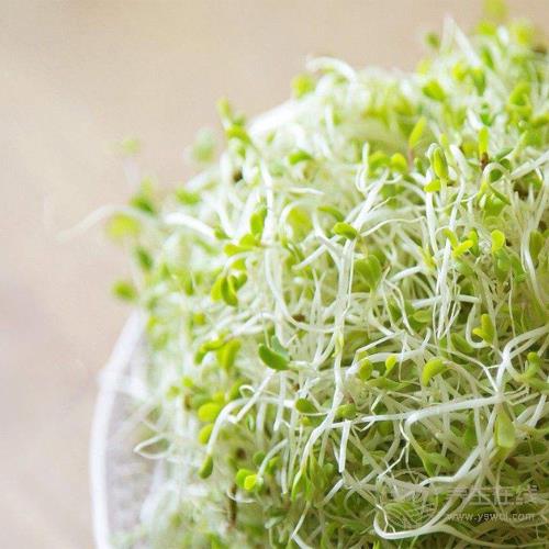 醫(yī)生提醒:高尿酸者,這5種食物再好吃都不能碰 醫(yī)生提醒:高尿酸者,這5種食物再好吃都不能碰
