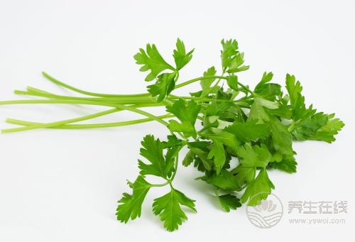 香菜雖然“臭”，但它的養生作用很多，不吃太可惜