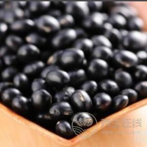 生活中有哪些食物有補血作用？補血食物推薦