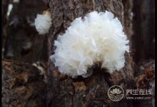 保養(yǎng)有護(hù)膚品還不夠！多吃下面幾種食物，比護(hù)膚品有用