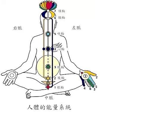 經(jīng)絡(luò)養(yǎng)生的好處有哪些以及經(jīng)絡(luò)養(yǎng)生功效
