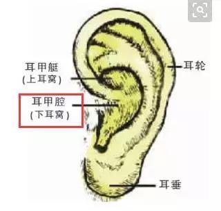 這一位置,拉的越大,腎就就越好,男人女人都合適-易網健康養生網 這一位置,拉的越大,腎就就越好,男人女人都合適