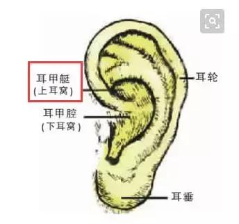這一位置,拉的越大,腎就就越好,男人女人都合適-易網健康養生網 這一位置,拉的越大,腎就就越好,男人女人都合適