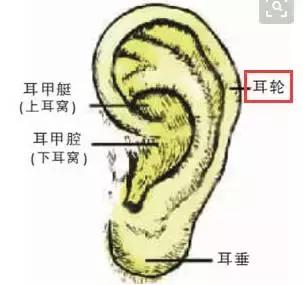 這一位置,拉的越大,腎就就越好,男人女人都合適-易網健康養生網 這一位置,拉的越大,腎就就越好,男人女人都合適