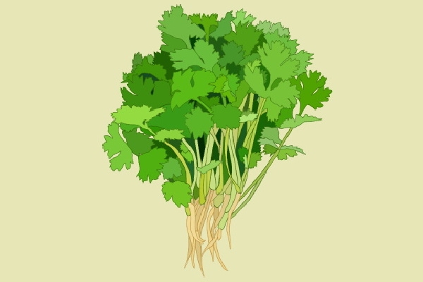 損傷陽氣的日常行為 補陽氣的食物有哪些