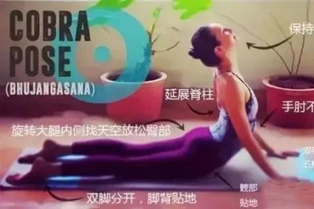 練習瑜伽眼鏡蛇式動作，千萬注意避免這些誤區
