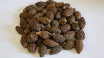 湯圓不能多吃,4顆就頂1碗飯的熱量-易網(wǎng)健康<a href=http://www.jjkd2019.cn/jkys/ target=_blank class=infotextkey>養(yǎng)生</a>網(wǎng) 湯圓不能多吃,4顆就頂1碗飯的熱量