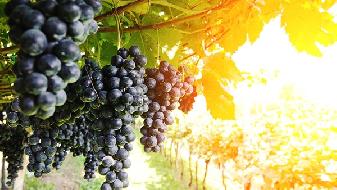 飲食減肥的4大必遵守則-易網健康<a href=http://www.jjkd2019.cn/jkys/ target=_blank class=infotextkey>養生</a>網 飲食減肥的4大必遵守則