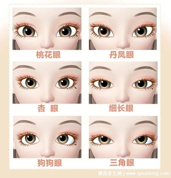 二十種眼形大全圖解，杏眼/狗狗眼/混血眼非常有特點