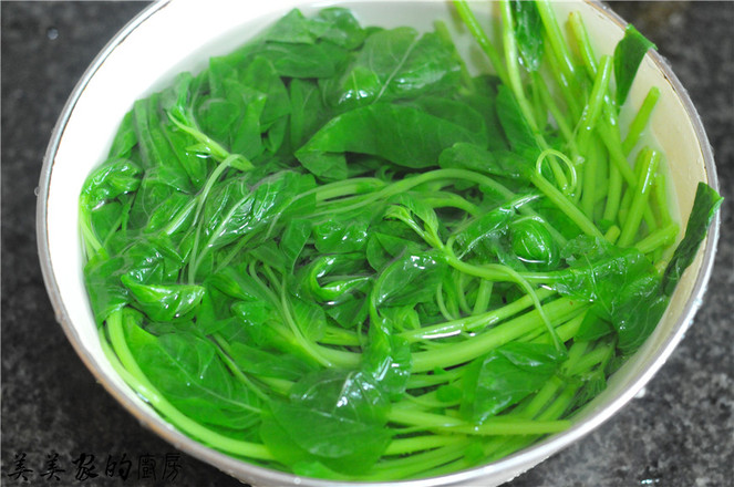 莧菜包的做法-家常味蒸菜譜-易網(wǎng)健康養(yǎng)生網(wǎng) 莧菜包的做法-家常味蒸菜譜