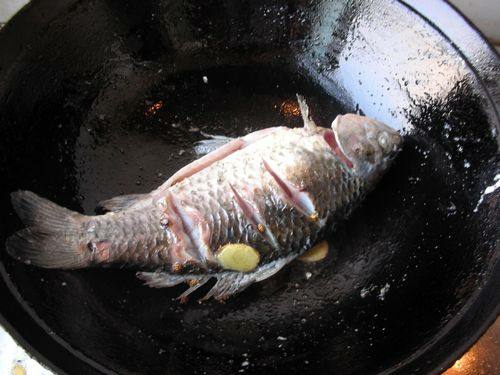 奶白鯽魚(yú)豆腐湯的做法-咸鮮味燉菜譜