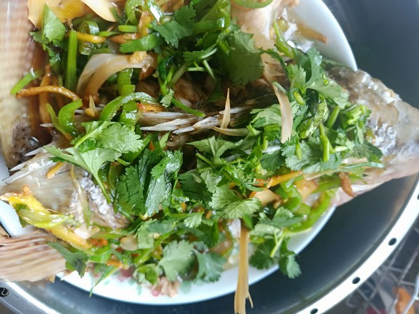 清蒸羅非魚的做法-家常味蒸菜譜-易網(wǎng)健康養(yǎng)生網(wǎng) 清蒸羅非魚的做法-家常味蒸菜譜