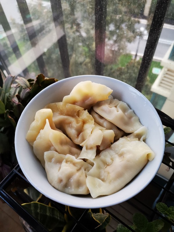 牛肉胡蘿卜餃子的做法-咸鮮味煮菜譜-易網健康養生網 牛肉胡蘿卜餃子的做法-咸鮮味煮菜譜