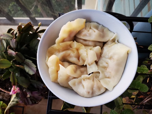 牛肉胡蘿卜餃子的做法-咸鮮味煮菜譜-易網健康養生網 牛肉胡蘿卜餃子的做法-咸鮮味煮菜譜