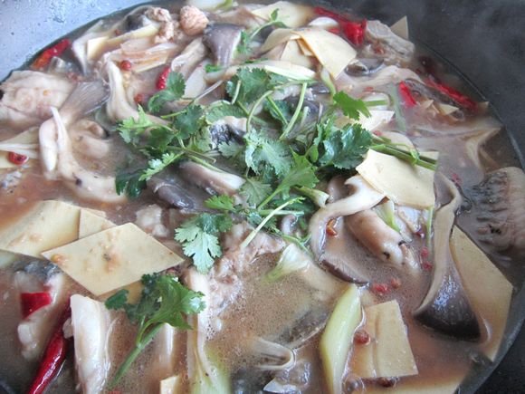 蘑菇燉鯉魚的做法-家常味燉菜譜-易網(wǎng)健康養(yǎng)生網(wǎng) 蘑菇燉鯉魚的做法-家常味燉菜譜