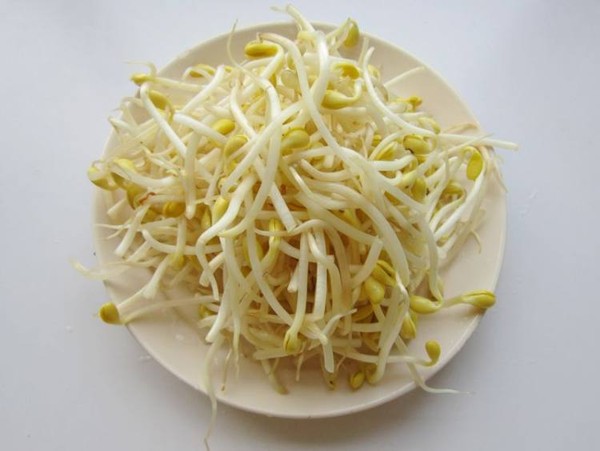 胡蘿卜黃豆芽炒肉的做法-家常味炒菜譜-易網(wǎng)健康養(yǎng)生網(wǎng) 胡蘿卜黃豆芽炒肉的做法-家常味炒菜譜