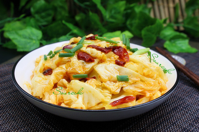 干鍋包菜的做法-麻辣味炒菜譜-易網(wǎng)健康養(yǎng)生網(wǎng) 干鍋包菜的做法-麻辣味炒菜譜