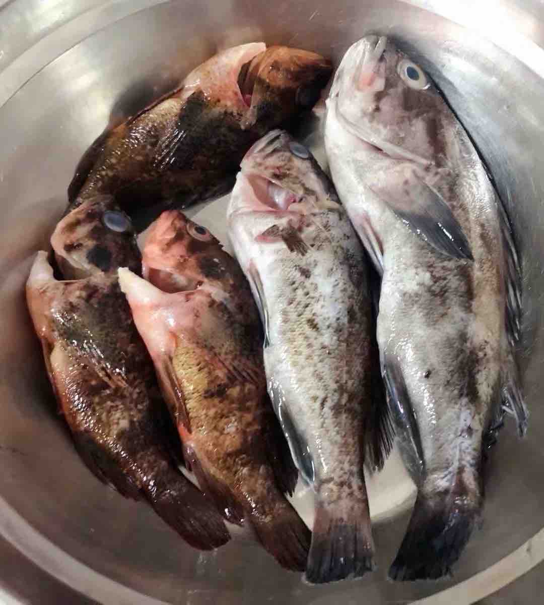 黑魚豆腐湯的做法-家常味煮菜譜-易網<a href=http://www.jjkd2019.cn/ target=_blank class=infotextkey>健康養生</a>網 黑魚豆腐湯的做法-家常味煮菜譜