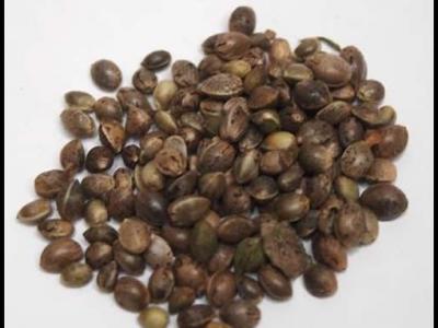 火麻仁怎么吃？小編分享三種搭配方法