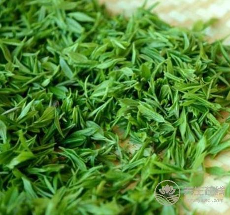 清明茶什么時(shí)候采?喝清明茶有哪些好處 清明茶什么時(shí)候采?喝清明茶有哪些好處