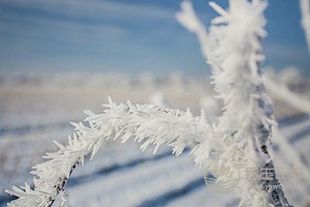 大雪節(jié)日如何養(yǎng)生?