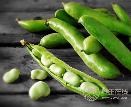 夏天來了吃什么?這兩樣食物你吃了絕對不會后悔的! 夏天來了吃什么?這兩樣食物你吃了絕對不會后悔的!