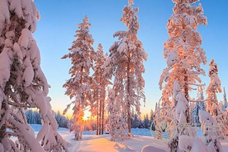 大雪節(jié)日如何養(yǎng)生?