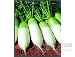 秋天五種養生水果推薦