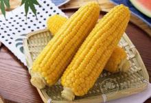 當秋養(yǎng)生吃玉米
