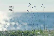 霜降養(yǎng)生重點在于膝關(guān)節(jié)！