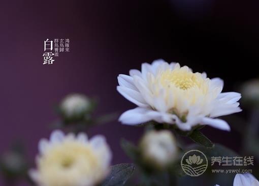 白露節(jié)氣該如何對(duì)抗干燥
