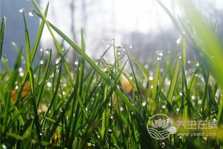 2019年處暑是幾月幾日?處暑的由來(lái)是什么?