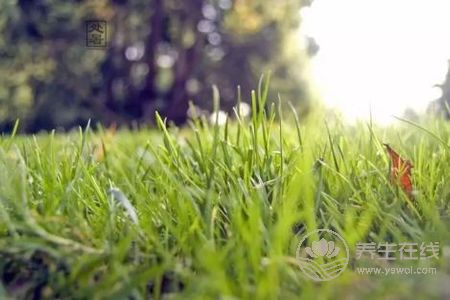 2019年處暑是幾月幾日?處暑的由來(lái)是什么?
