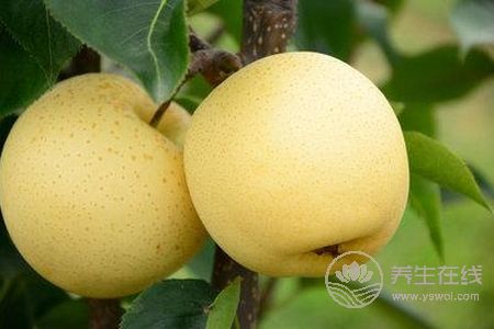 秋季感冒的原因有哪些?預防感冒的水果有哪些?