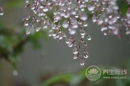 寒露的來歷是什么?寒露節氣如何養生?