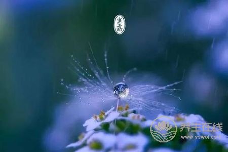 寒露的來歷是什么?寒露節氣如何養生?