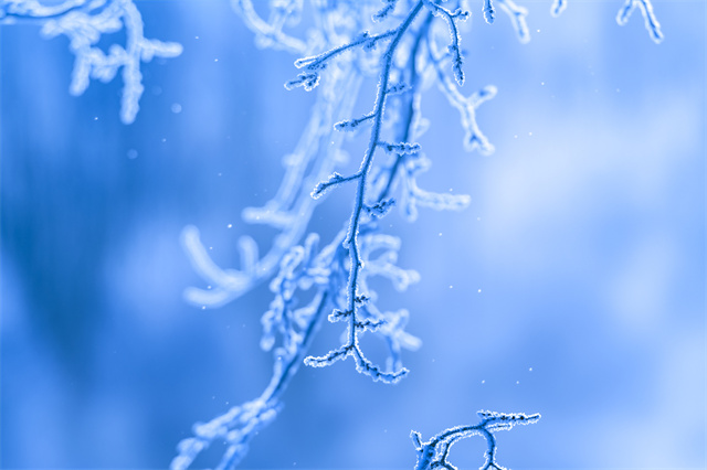 12月應季的水果蔬菜有哪些？12月養(yǎng)生你要知道這些