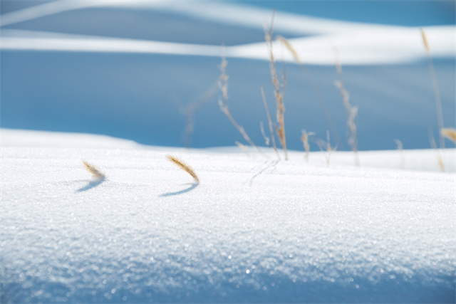 下雪天出門怎么防寒？防寒保暖這幾招就夠了