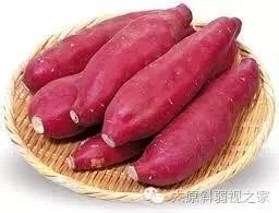 眼睛干澀疲勞，飲食與按摩兩步保健