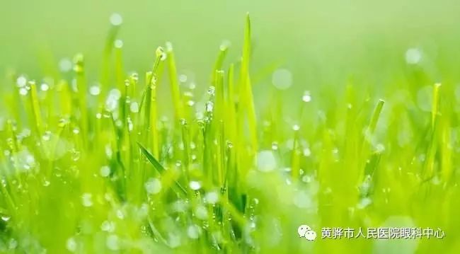 預(yù)防兒童近視遵循這八個(gè)預(yù)防要點(diǎn)