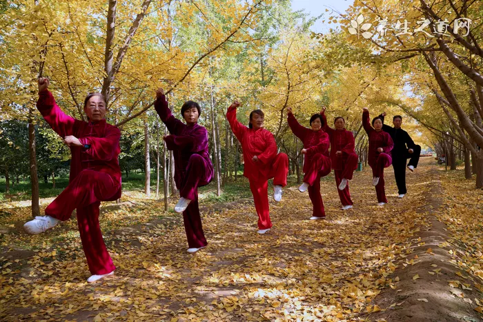 喜迎國慶 石家莊開展五星紅旗飄起來活動